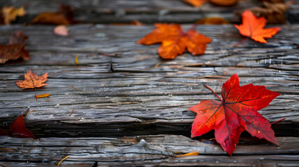 Obraz premium Vivid Red Maple Leaf Rests on Weathered Wooden Planks with Scattered Autumn Leaves