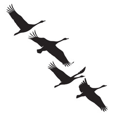 birds flying silhouette