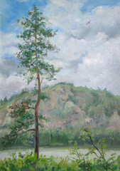 Lonely pine tree, oil painting