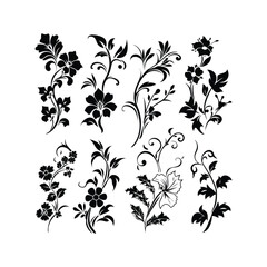 Floral Ornament Silhouette set Clipart on a white Background