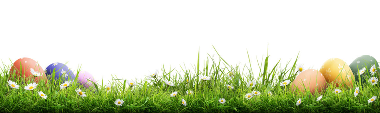 A template of a collection of painted easter eggs celebrating a Happy Easter with green meadow grass against a transparent background.