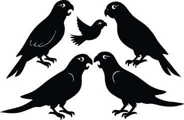A set of minimalistic parrot birds in different poses silhouette on a white background isolated.
