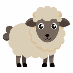 illustration of sheep