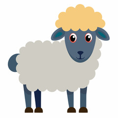 illustration of sheep