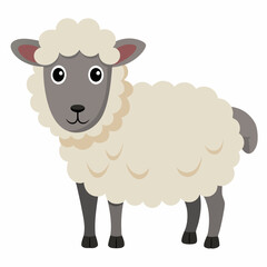 illustration of sheep