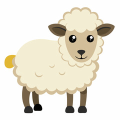 illustration of sheep