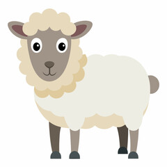 illustration of sheep