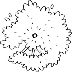 minimalist hand drawn cartoon top view of tree illustration