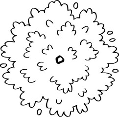 minimalist hand drawn cartoon top view of tree illustration