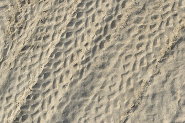 Tire tracks imprinted on sandy terrain. Pattern of vehicle tread marks on dry sand. Off-road vehicle tracks in a sandy environment.