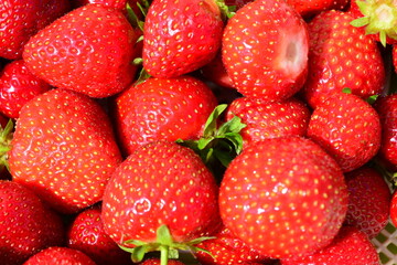 a background of Fresh Strawberries macrophotography 