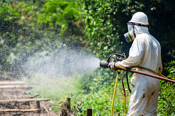 Naklejka premium Systematic termite fumigation process, protective environmental treatment
