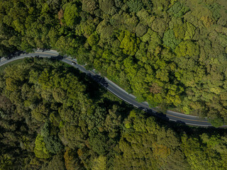 Forest road, road in a forest with fog, taken from a top down drone photo, A car is driving on an asphalt highway road through a dense green rainforest landscape in Thailand, In the style of comme