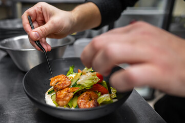 A chef carefully plating a vibrant salad with grilled shrimp, fresh vegetables, and garnishes. The focused hand showcases attention to detail in a professional kitchen setting.