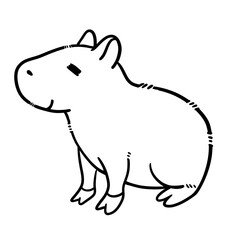 Cute Capybara