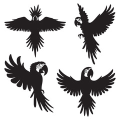 Vector parrot silhouettes of amazon jungle isolated on white background
