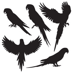 Vector parrot silhouettes of amazon jungle isolated on white background