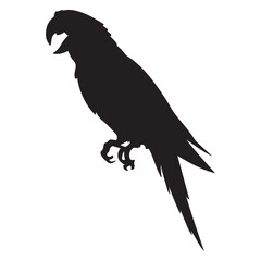 Vector parrot silhouettes of amazon jungle isolated on white background