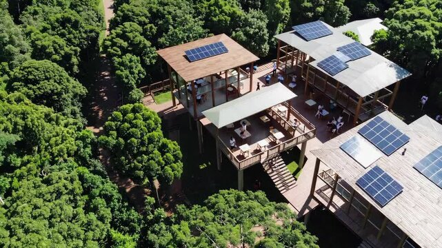 Design an eco-friendly educational facility in the heart of a rainforest, ensuring minimal environmental impact and maximal connection to nature