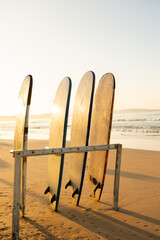 Boards for surfing on the Indian ocean beach. Surfing in Sri Lanka.