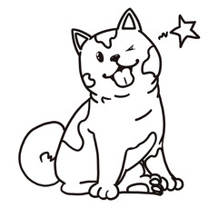 little dog 