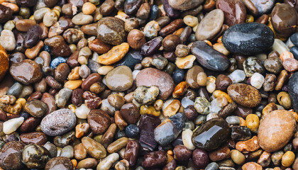 Fototapeta premium Smooth wet pebbles, texture background. Sea or ocean shore beach. Top view.