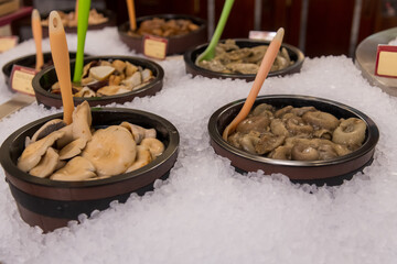 Colorful bowls of gourmet mushrooms are arranged neatly on ice, making a tempting display at a food market event. Copy space. Soft focus.