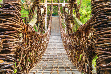 Iya Valley, Tokushima, Japan at the Kazurabashi Vine Bridge © SeanPavonePhoto