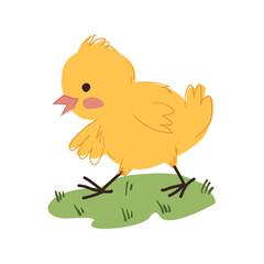 Cute Cartoon Chick Walking on Grass
