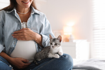 Pregnant woman with cute cat at home, closeup. Space for text