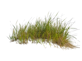 Isolated Patch of Grass