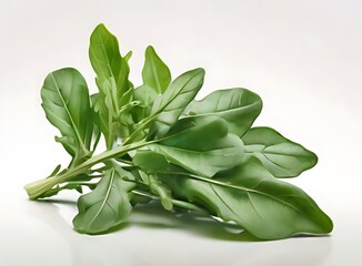 Fototapeta premium Arugula fresh spinach leaves