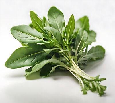 fresh rugula leaves on a white background