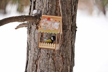 A titmouse sits on a branch in the park. Winter time.