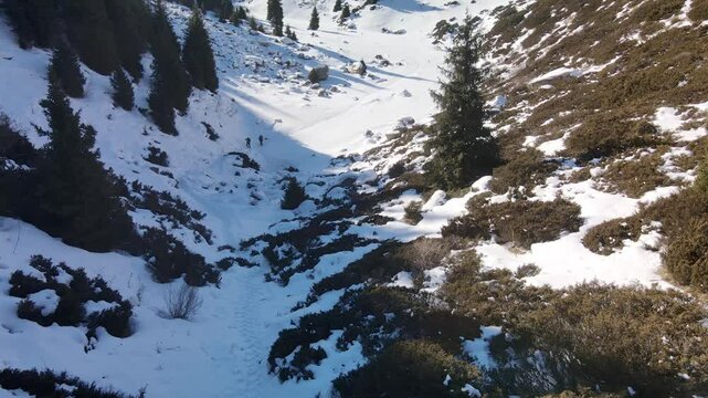 Two tourists with backpacks walk along a snowy valley in the mountains, trampling a path. Aerial view of two tourists with backpacks in the mountains in winter.