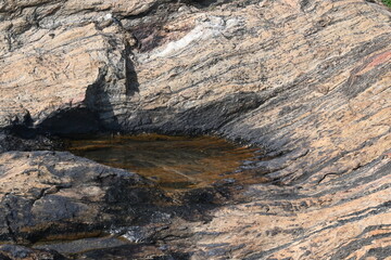Water has collected on the rock's surface. The rock is a brown color and smooth. In hilly areas, during monsoon season, rain water gets collected in these rocks. Small water pond on top of the rock.