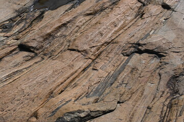 Water has collected on the rock's surface. The rock is a brown color and smooth. In hilly areas, during monsoon season, rain water gets collected in these rocks. Small water pond on top of the rock.