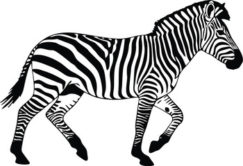 Striped Silhouette Of Zebra