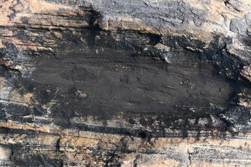 Water has collected on the rock's surface. The rock is a brown color and smooth. In hilly areas, during monsoon season, rain water gets collected in these rocks. Small water pond on top of the rock.