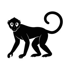 black panther silhouette on white background