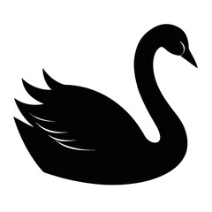 black swan silhouette on white background