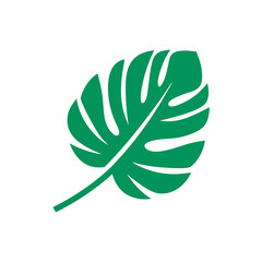 green leaf isolated on white