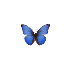 Vivid Blue Butterfly in Mid-Flight with Delicate Wing Patterns, Nature-Inspired Design, Isolated on Transparent Background