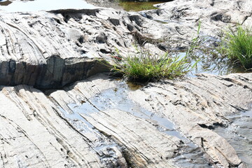 Water has collected on the rock's surface. The rock is a brown color and smooth. In hilly areas, during monsoon season, rain water gets collected in these rocks. Small water pond on top of the rock.