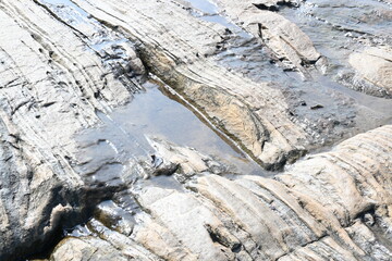 Water has collected on the rock's surface. The rock is a brown color and smooth. In hilly areas, during monsoon season, rain water gets collected in these rocks. Small water pond on top of the rock.