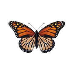Obraz premium Majestic Monarch Butterfly in Vibrant Detail with Delicate Wing Patterns Isolated on Transparent Background