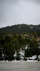 nature, lake, landscape, water, forest, sky, tree, fog, mist, trees, river, mountain, morning, reflection, summer, clouds, grass, green, scene, blue, wood, outdoors, pond, cloud, foggy