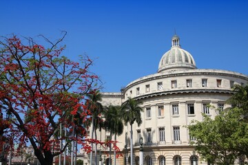 Naklejka premium Havana National Capitol, Cuba