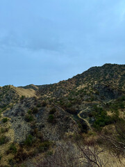 view from the top of the hill
