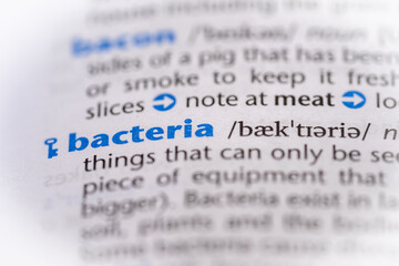 Bacteria word in a dictionary. Selective focus, close up.
